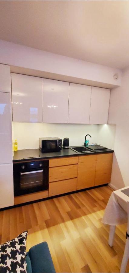 Dworska Studio Apartment クラクフ エクステリア 写真